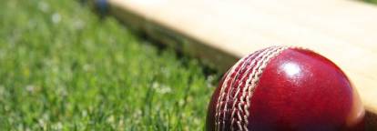 Cricket